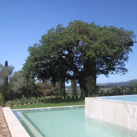 Agriturismo Il Broletto Suvereto Kültér fotó