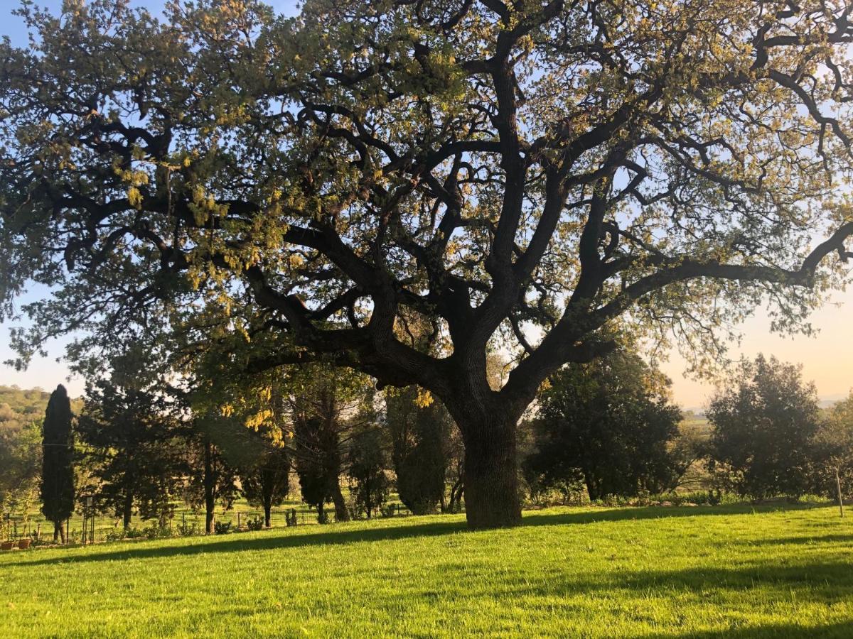 Agriturismo Il Broletto Suvereto Kültér fotó