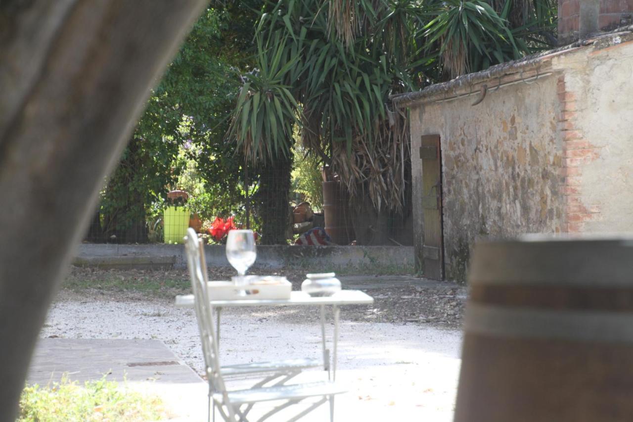 Agriturismo Il Broletto Suvereto Kültér fotó