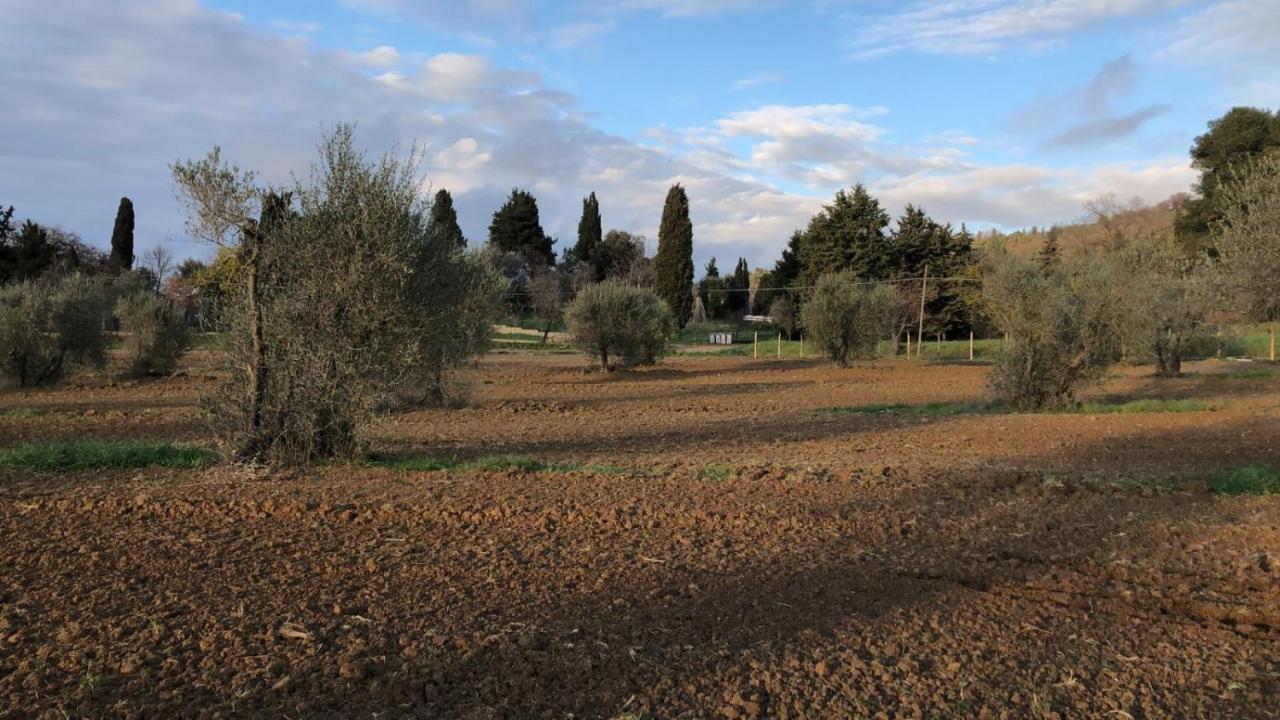 Agriturismo Il Broletto Suvereto Kültér fotó